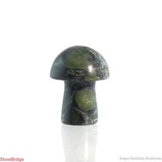 Kambaba Jasper Mushroom from The Rock Space