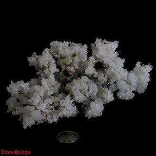 White Calcite Cluster #1 from The Rock Space