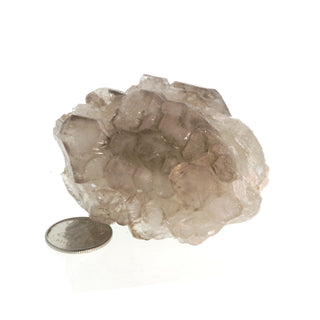 Smoky Quartz Elestial #2 - 1 1/2" to 2 1/2" from The Rock Space