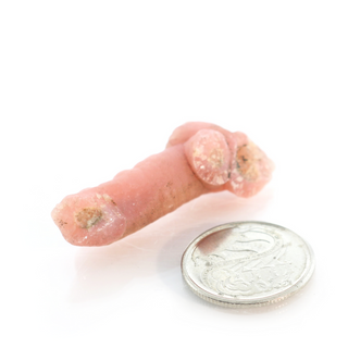 Rhodochrosite Stalactite Specimen from The Rock Space