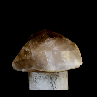 Smoky Quartz Point GIANT! U#1 from The Rock Space