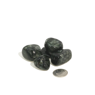 Seraphinite A Tumbled Stones from The Rock Space