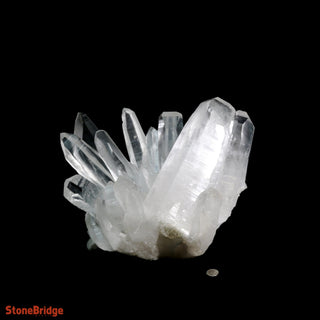 Lemurian Quartz Cluster U#2 - Super Clear - 19lbs 13" from The Rock Space