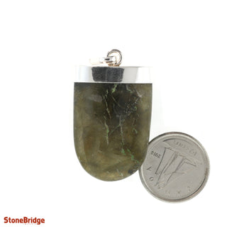 Labradorite Tongue - 925 Silver Pendant from The Rock Space