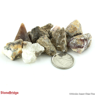 Orbicular Jasper Chips - Tiny from The Rock Space