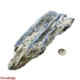 Blue Kyanite A Cluster #9 from The Rock Space