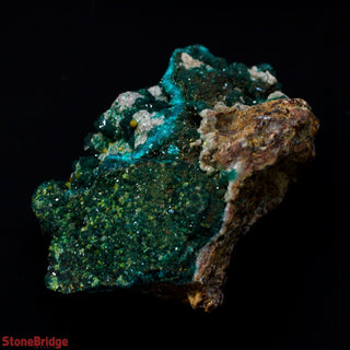 Dioptase Specimen on Matrix U#1 - 2 1/4" from The Rock Space
