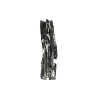 Orthoceras Tower Fossil U#14 - 20" from The Rock Space