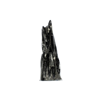 Orthoceras Tower Fossil U#21 - 22" from The Rock Space