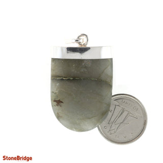 Labradorite Tongue - 925 Silver Pendant from The Rock Space