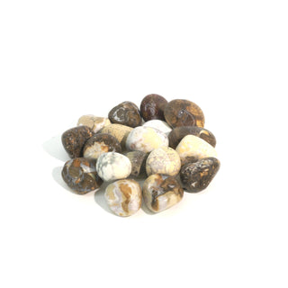 Orbicular Jasper Tumbled Stones - India from The Rock Space
