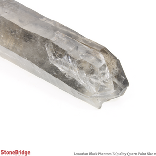 Lemurian Black Phantom Point #2 from The Rock Space
