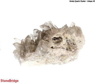 Smoky Quartz Cluster U#3 from The Rock Space