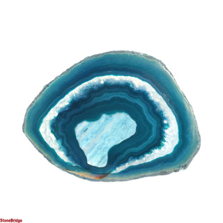Agate Slices #11 - 9" to 11" from The Rock Space