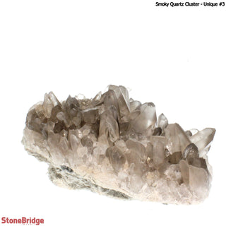 Smoky Quartz Cluster U#3 from The Rock Space