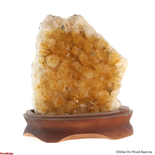 Citrine Cluster on Wood Base #4 - 9" from The Rock Space