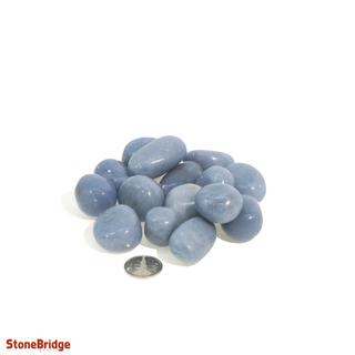 Angelite Tumbled Stones from The Rock Space