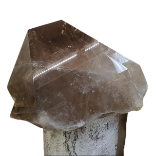 Smoky Quartz Point GIANT! U#1 from The Rock Space