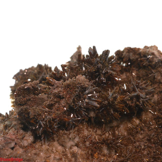 Descloizite Mineral Specimen U#9 - 2 1/4" from The Rock Space