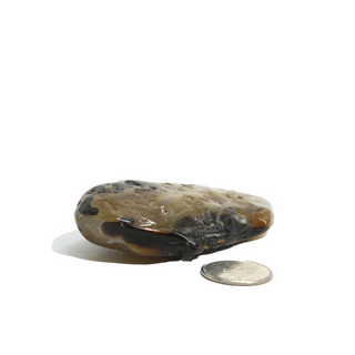 Enhydro Agate Geodes - 2 1/2" from The Rock Space