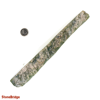 Jade Nephrite Slice U#2 from The Rock Space