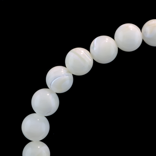 Shell Round Bracelet - 8mm from The Rock Space