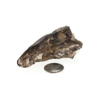 Smoky Quartz Elestial #1 - 1" to 2" from The Rock Space