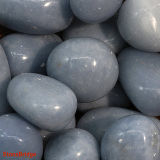 Angelite Tumbled Stones from The Rock Space
