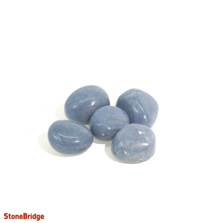 Angelite Tumbled Stones from The Rock Space