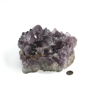 Amethyst Clusters #7 - 6" to 9" from The Rock Space