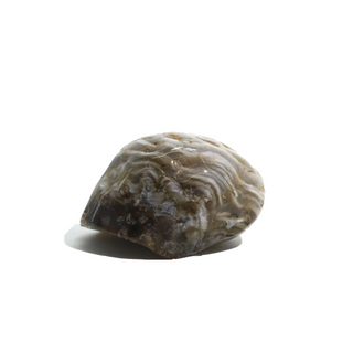 Enhydro Agate Geodes - 2 1/2" from The Rock Space