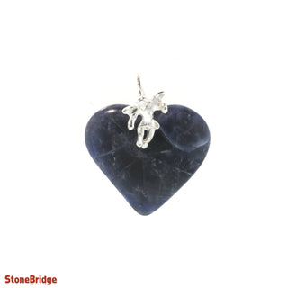 Sodalite Heart & Angel - 925 Silver Pendant from The Rock Space