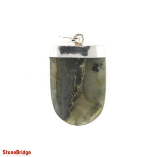 Labradorite Tongue - 925 Silver Pendant from The Rock Space