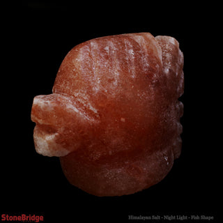 Himalayan Salt Night Light - Fish from The Rock Space