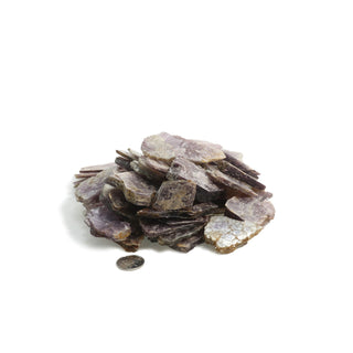 Lepidolite Flake Chips - Small & Medium from The Rock Space
