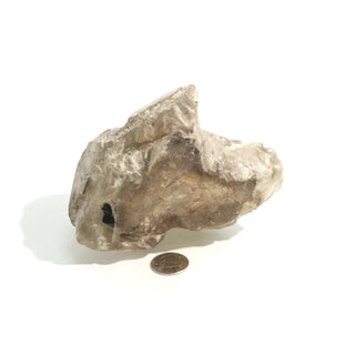 Smoky Quartz Elestial #5 - 3 1/4" to 5" from The Rock Space