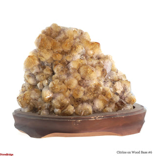 Citrine Cluster on Wood Base #6 - 10" from The Rock Space