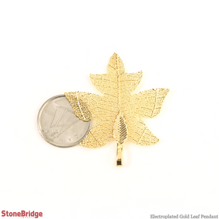 Electroplated Jewelry Leaves - Type #14 - Gold from The Rock Space