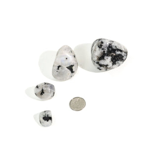 Rainbow Moonstone Tumbled Stones - India from The Rock Space