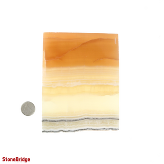 Calcite Honey Slices #4 from The Rock Space