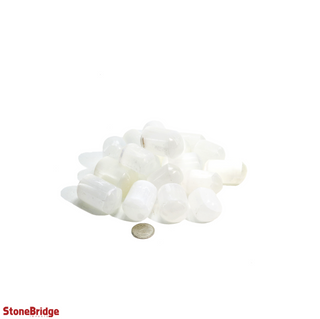 Selenite Tumbled Stones - Hand Polished from The Rock Space