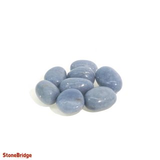 Angelite Tumbled Stones from The Rock Space