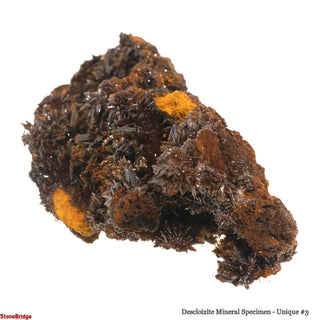 Descloizite Mineral Specimen U#3 - 3 3/4" from The Rock Space