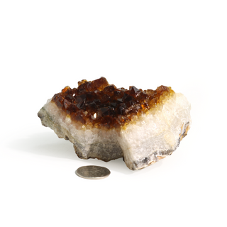 Citrine Cluster #1 - 1" to 2" from The Rock Space