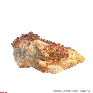 Vanadinite Specimen U#15 - 4" from The Rock Space