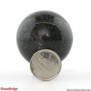 Black Obsidian Sphere Extra Small #1 - 1 1/2" from The Rock Space
