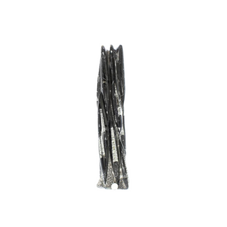 Orthoceras Tower Fossil U#24 - 19" from The Rock Space