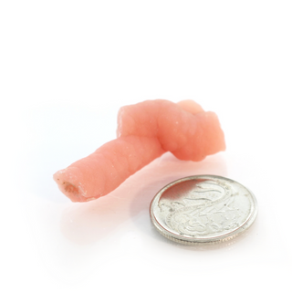 Rhodochrosite Stalactite Specimen from The Rock Space