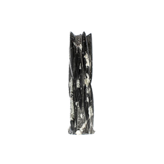 Orthoceras Tower Fossil U#26 - 20" from The Rock Space