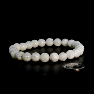 Shell White Round Bracelet - 8mm from The Rock Space